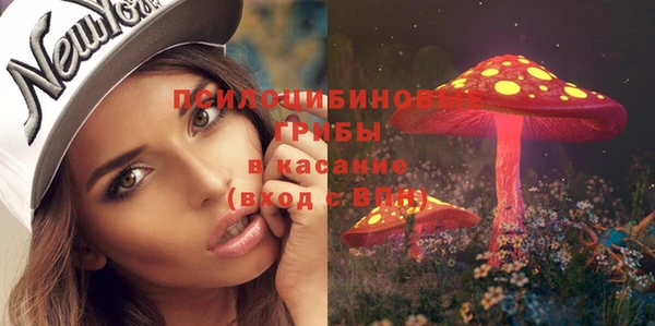 гидропоника Алексеевка